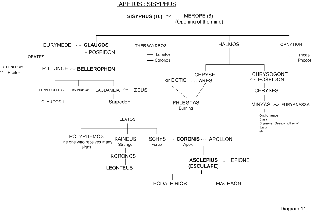 Sisyphus and Bellerophon - Family tree 11 - Greek mythology