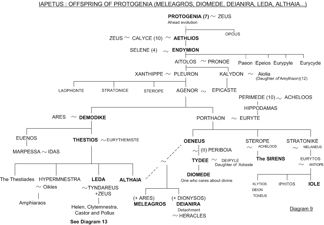 Leda, Meleager, Deianira and Diomedes - Family tree 9 - Greek mythology
