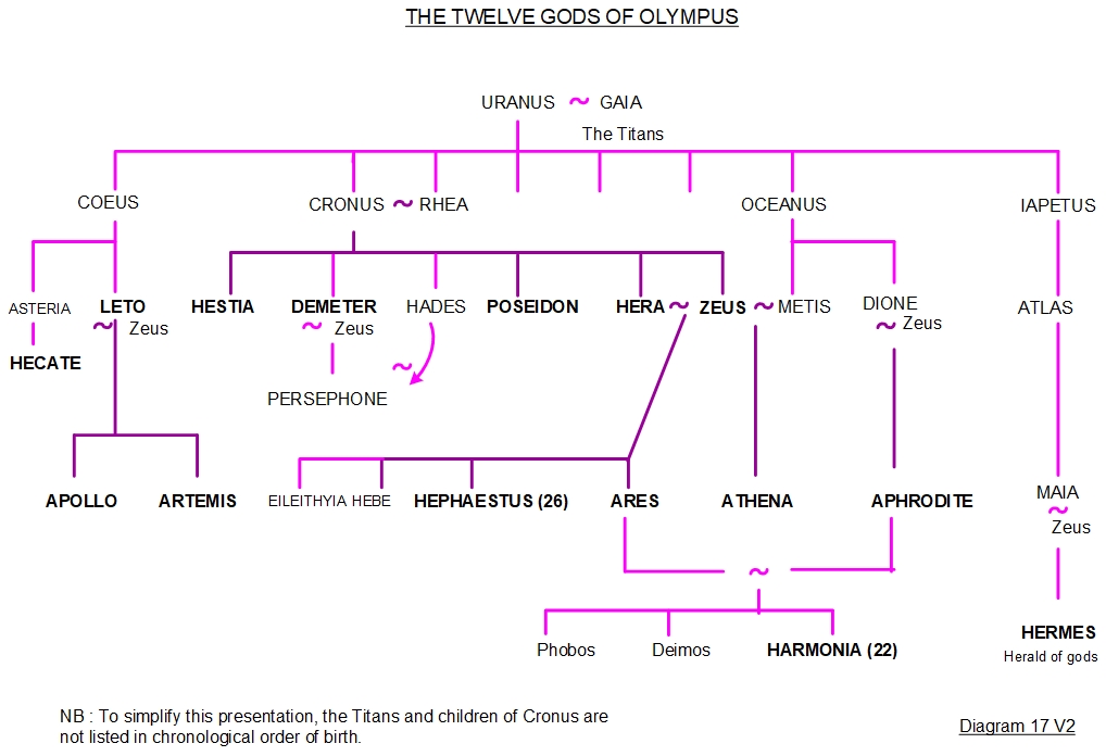 Gods of Olympus - Family tree 17 - Greek mythology