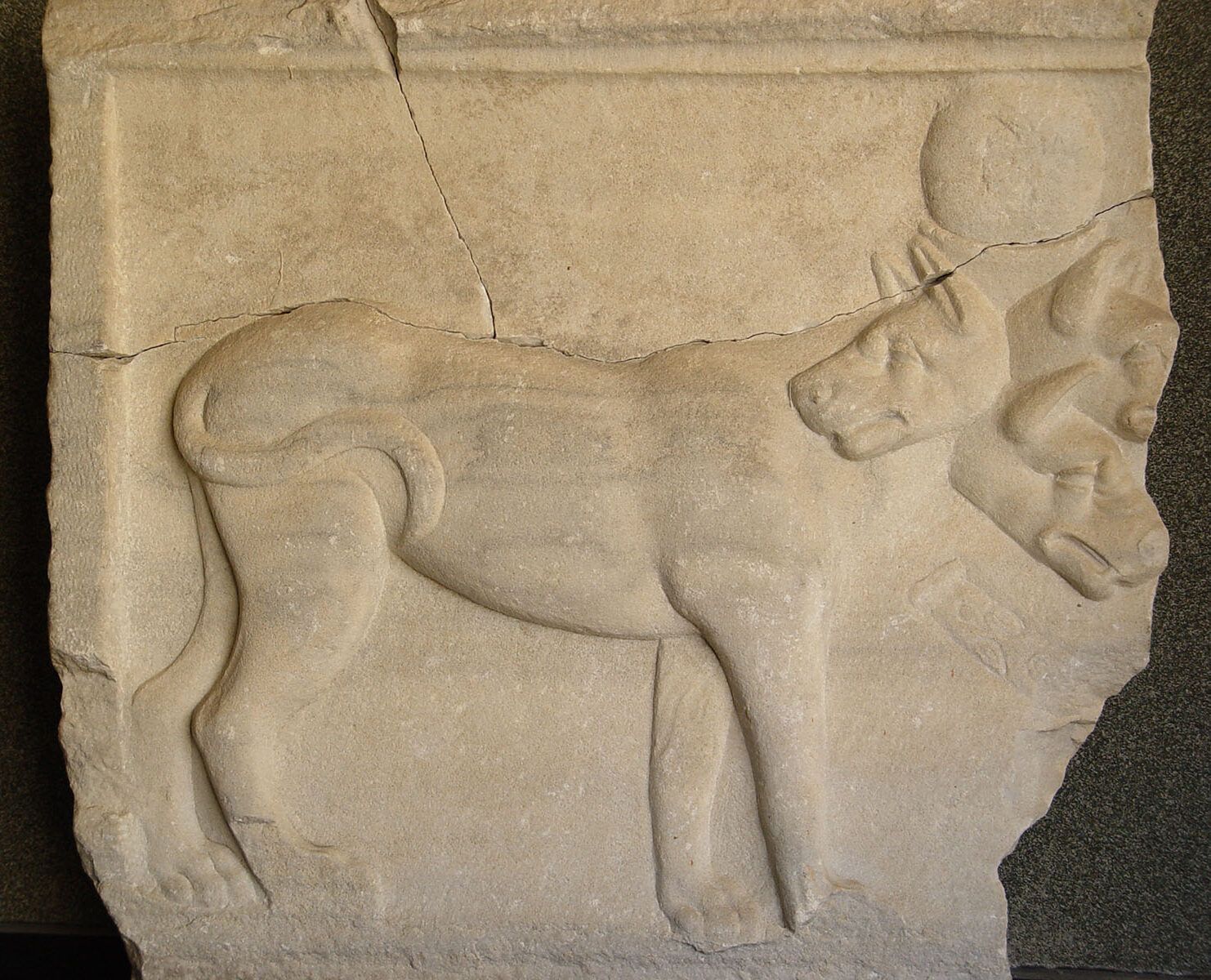 Cerberus, Bergama Museum, CC BY-SA 4.0, Dosseman