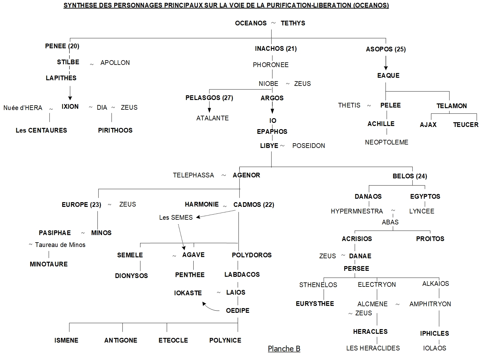 ARBRE GÉNÉALOGIQUE D’OCÉANOS – SYNTHÈSE