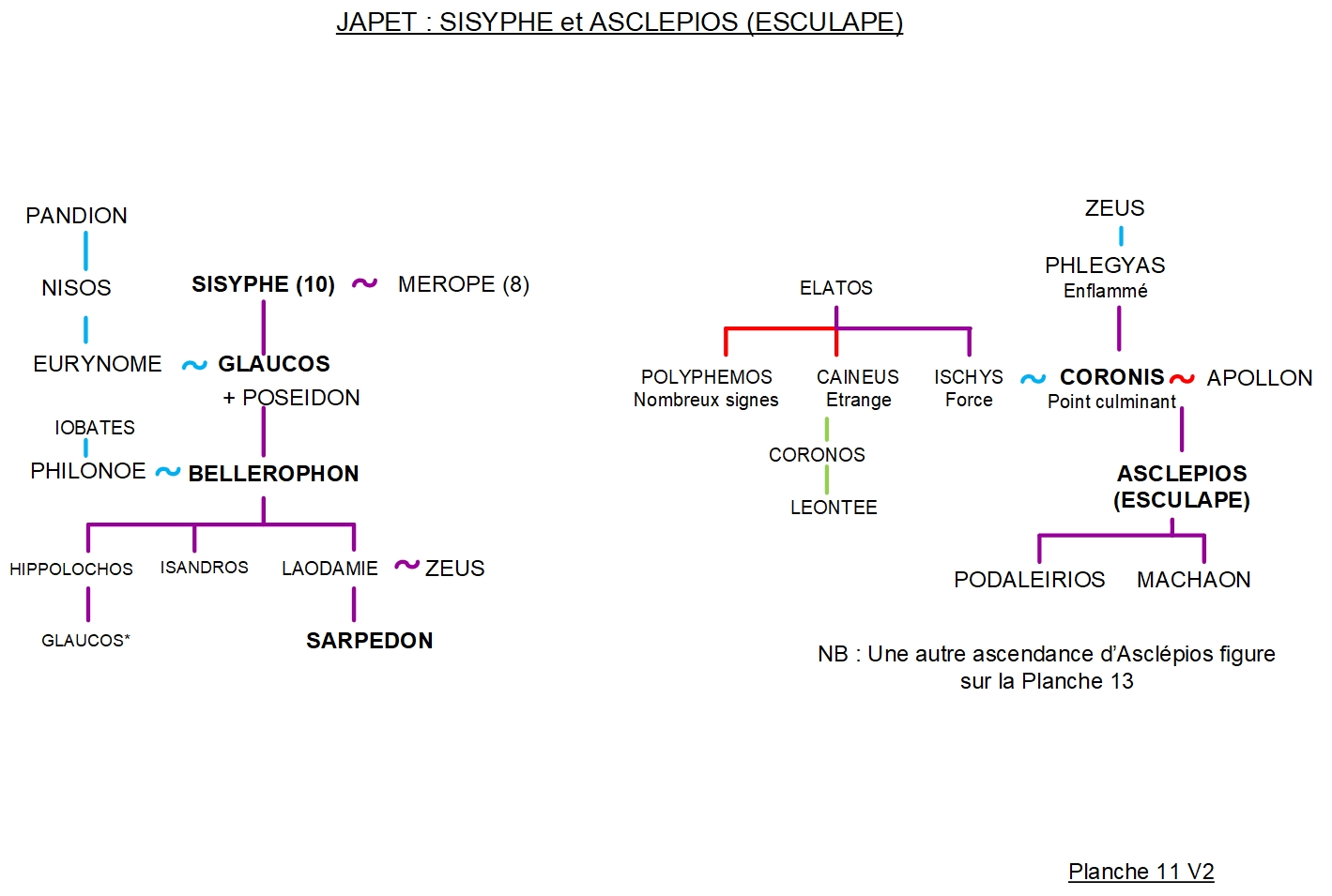 ARBRE GÉNÉALOGIQUE 11 – SISYPHE