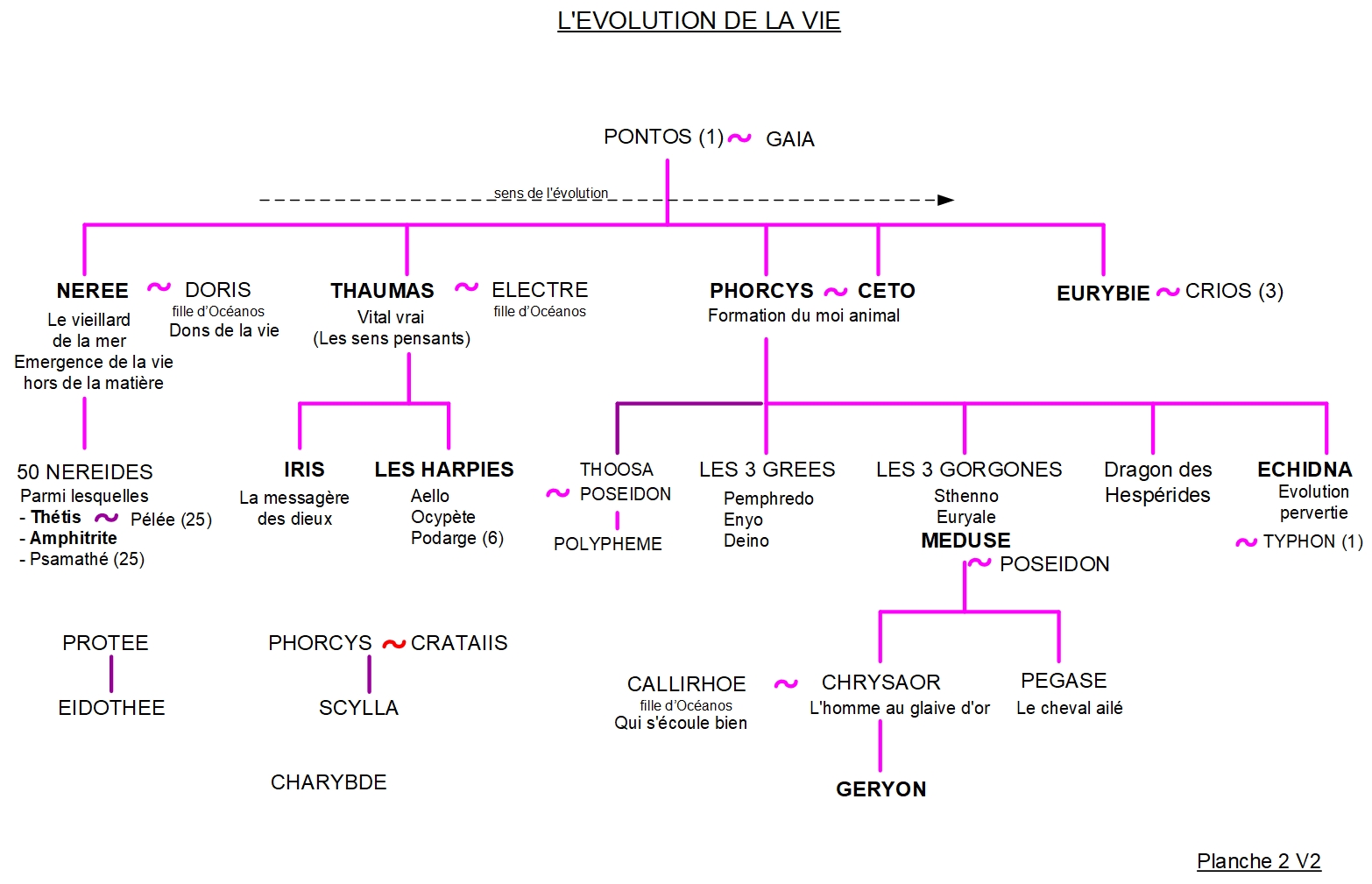 ARBRE GÉNÉALOGIQUE 2 – L’ÉVOLUTION DE LA VIE