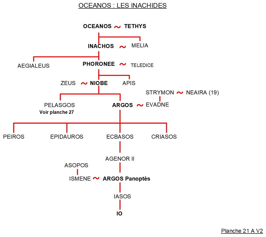ARBRE GÉNÉALOGIQUE 21 – OCEANOS : LES INACHIDES
