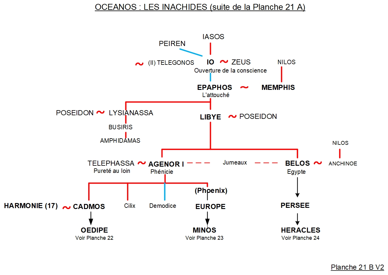 ARBRE GÉNÉALOGIQUE 21 – OCEANOS : LES INACHIDES