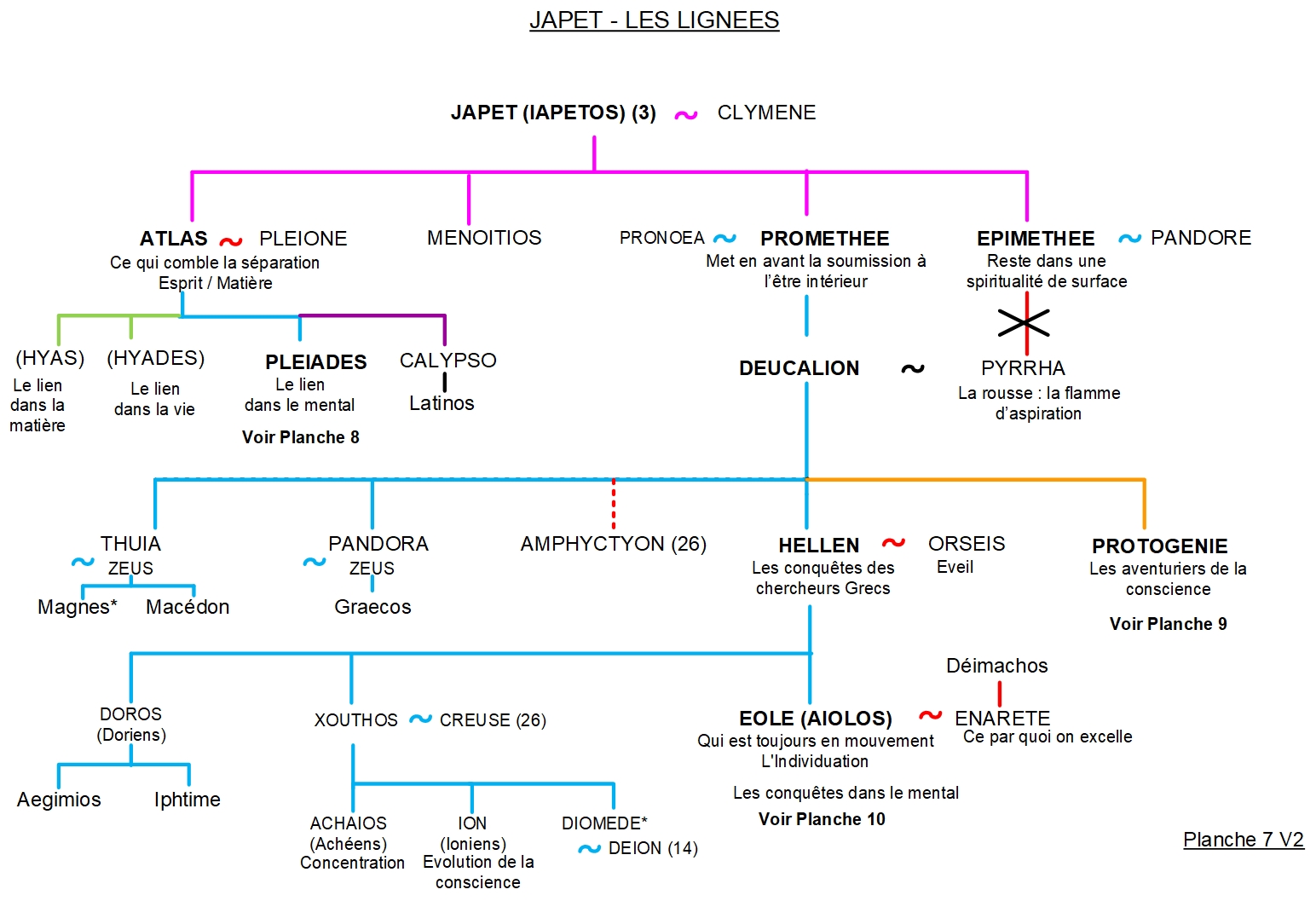 Atlas et Prométhée - Arbre généalogique 7 2 JAPET – LES LIGNÉES